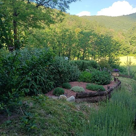 Locanda Di Alberi Borgo San Lorenzo Dış mekan fotoğraf