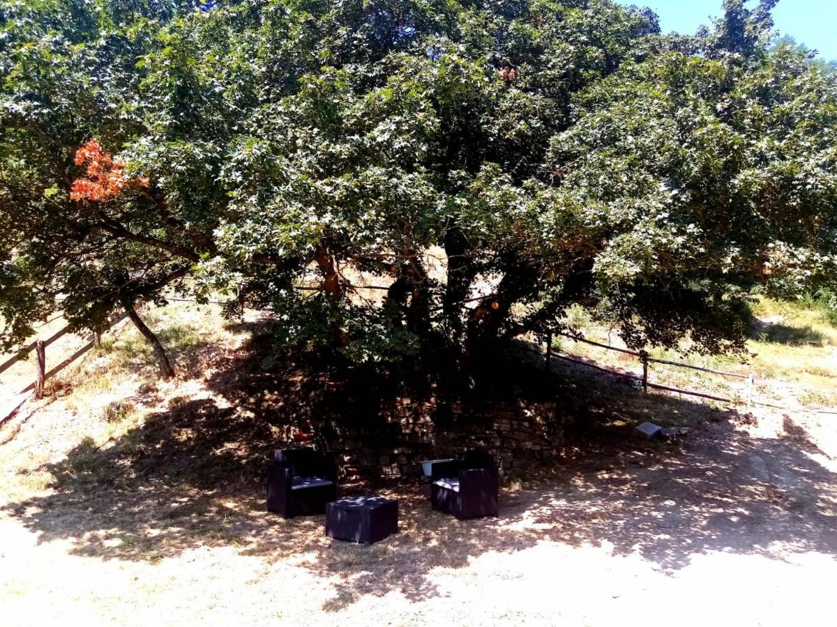 Locanda Di Alberi Borgo San Lorenzo Dış mekan fotoğraf