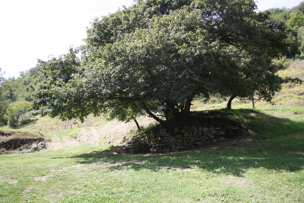 Locanda Di Alberi Borgo San Lorenzo Dış mekan fotoğraf