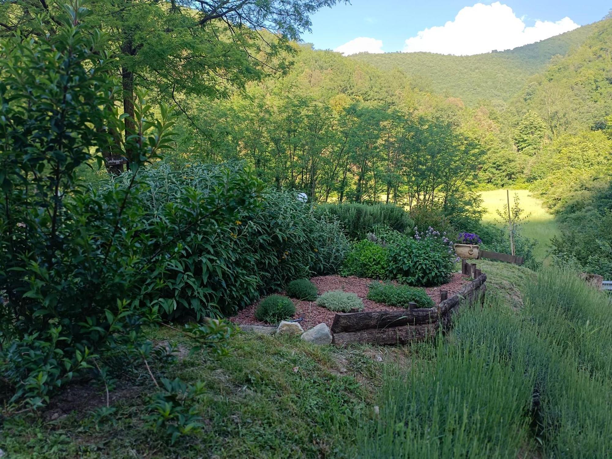 Locanda Di Alberi Borgo San Lorenzo Dış mekan fotoğraf