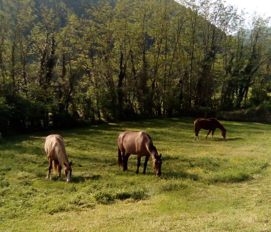 Locanda Di Alberi Borgo San Lorenzo Dış mekan fotoğraf
